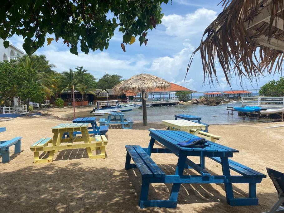 Lush Tropical Apartment Located In A 4-Star Resort Runaway Bay Bagian luar foto